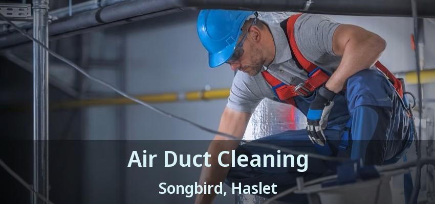 Air Duct Cleaning Songbird, Haslet - TX