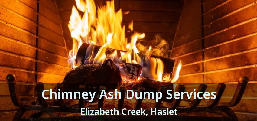 Chimney Ash Dump Services Elizabeth Creek, Haslet - TX