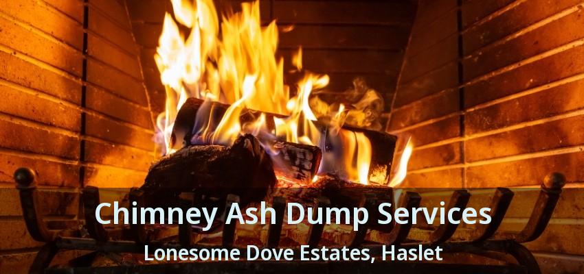 Chimney Ash Dump Services Lonesome Dove Estates, Haslet - TX