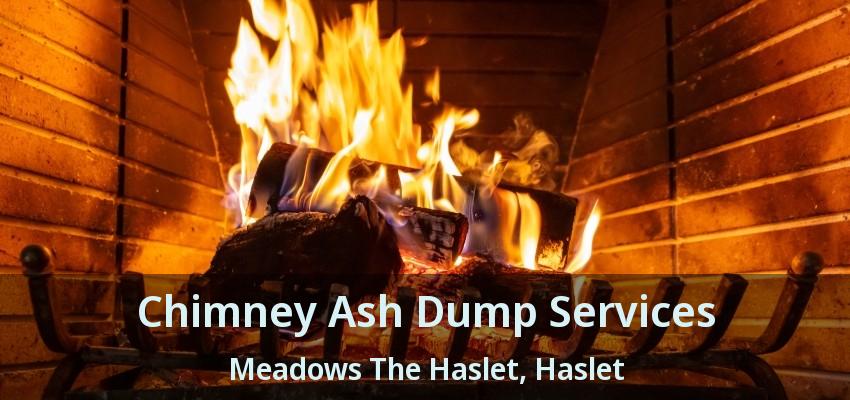 Chimney Ash Dump Services Meadows The Haslet, Haslet - TX