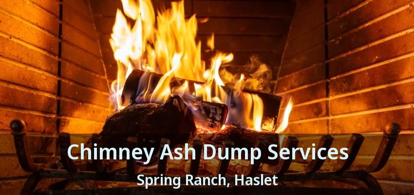 Chimney Ash Dump Services Spring Ranch, Haslet - TX