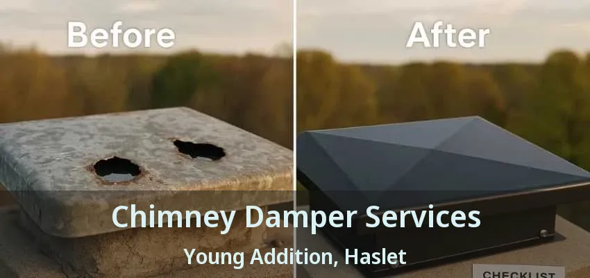 Chimney Damper Services Young Addition, Haslet - TX