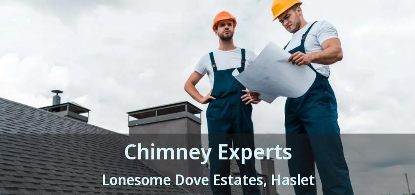 Chimney Experts Lonesome Dove Estates, Haslet - TX