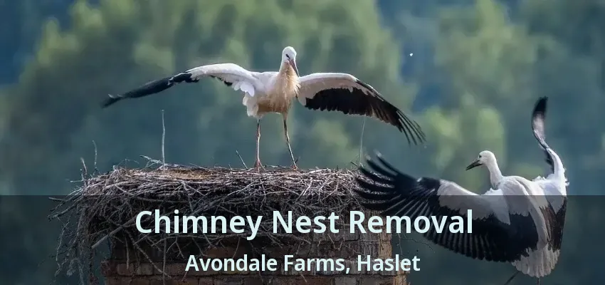 Chimney Nest Removal Avondale Farms, Haslet - TX