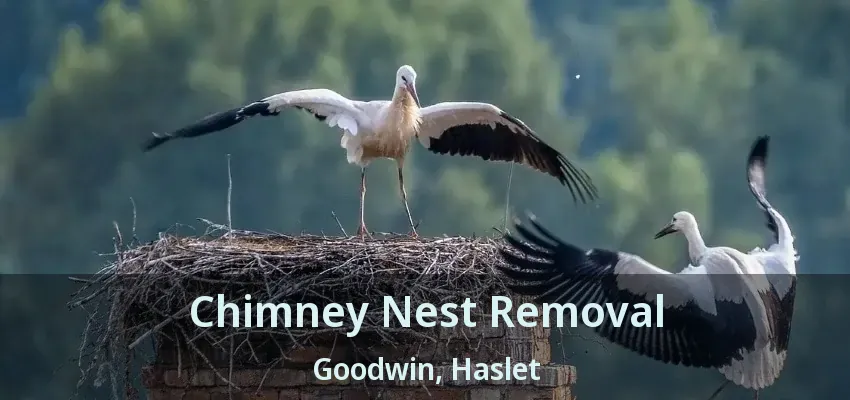 Chimney Nest Removal Goodwin, Haslet - TX