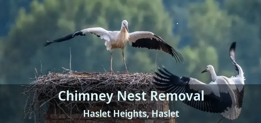 Chimney Nest Removal Haslet Heights, Haslet - TX