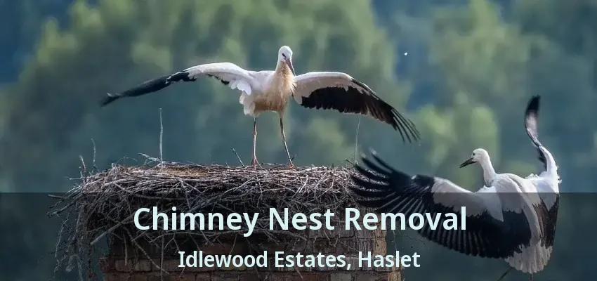 Chimney Nest Removal Idlewood Estates, Haslet - TX