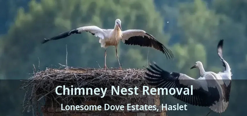 Chimney Nest Removal Lonesome Dove Estates, Haslet - TX