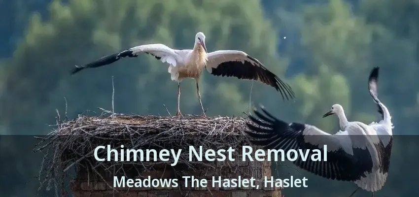 Chimney Nest Removal Meadows The Haslet, Haslet - TX