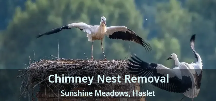 Chimney Nest Removal Sunshine Meadows, Haslet - TX