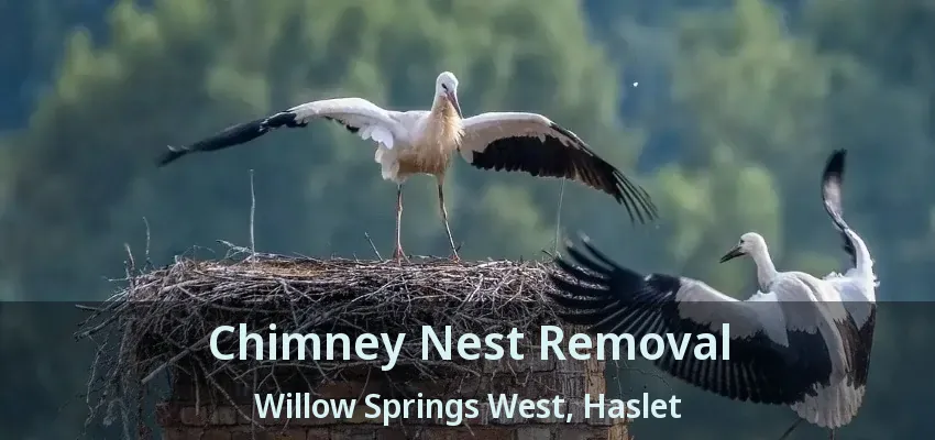 Chimney Nest Removal Willow Springs West, Haslet - TX