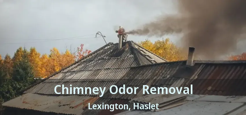 Chimney Odor Removal Lexington, Haslet - TX