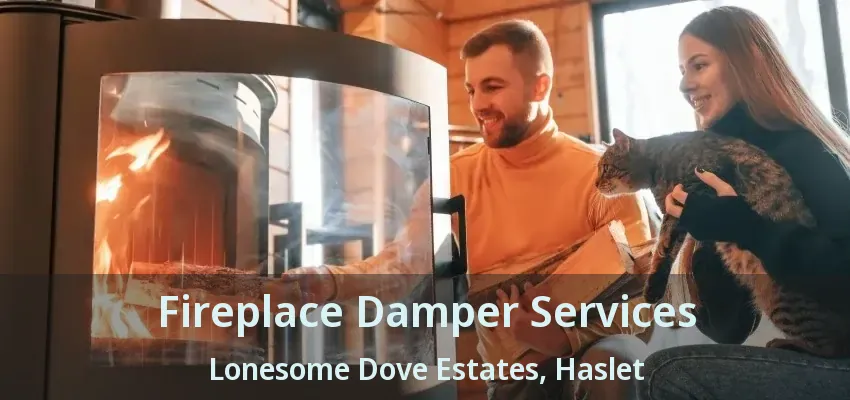 Fireplace Damper Services Lonesome Dove Estates, Haslet - TX