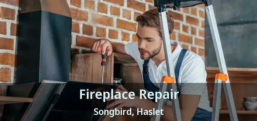 Fireplace Repair Songbird, Haslet - TX