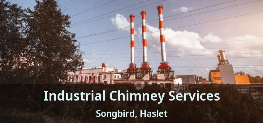 Industrial Chimney Services Songbird, Haslet - TX