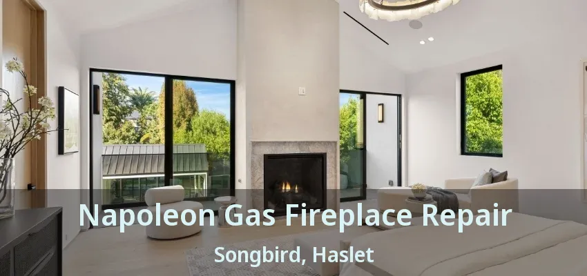 Napoleon Gas Fireplace Repair Songbird, Haslet - TX