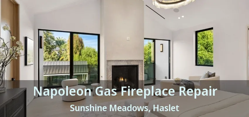 Napoleon Gas Fireplace Repair Sunshine Meadows, Haslet - TX