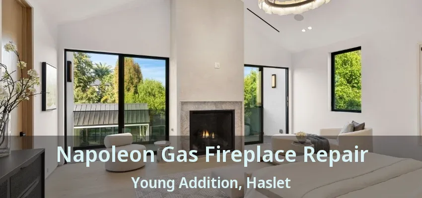 Napoleon Gas Fireplace Repair Young Addition, Haslet - TX