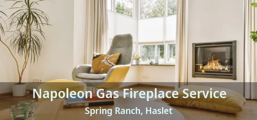 Napoleon Gas Fireplace Service Spring Ranch, Haslet - TX