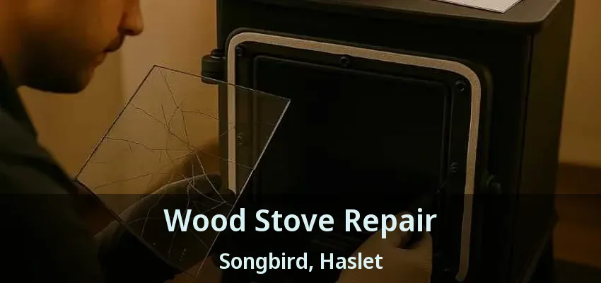 Wood Stove Repair Songbird, Haslet - TX