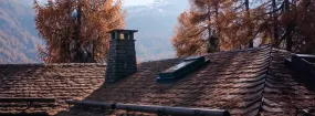 Chimney Animal Removal Haslet