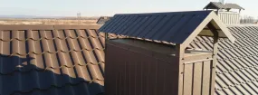Chimney Cap Services Haslet