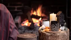 Fireplace Inspection Haslet
