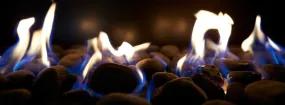 Gas Fireplace Embers Haslet