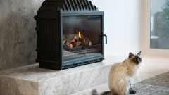 Wood Burning Fireplace Repair Haslet